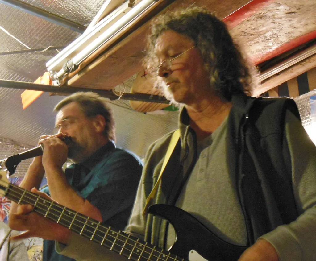 Starting with a Diatonic Harmonica: Essential Tips
