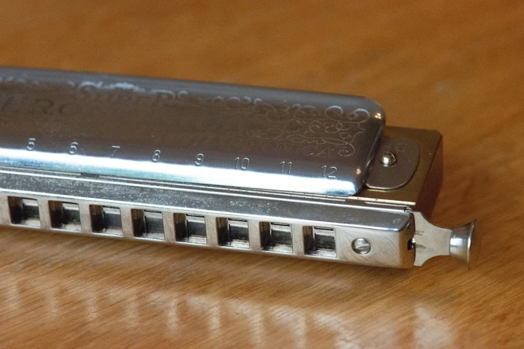 Diatonic or chromatic harmonica: which should you choose?
