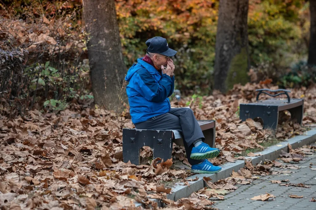 French Harmonica Players You Absolutely Need to Know