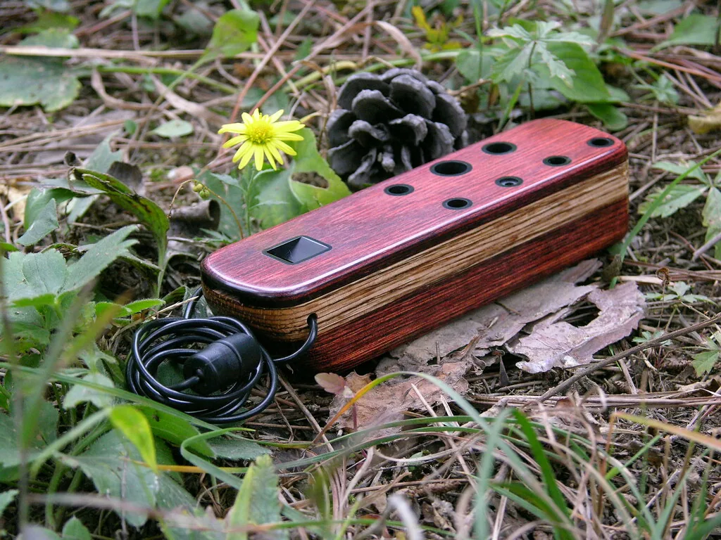 What Is an Ocarina and Where Does This Instrument Come From?
